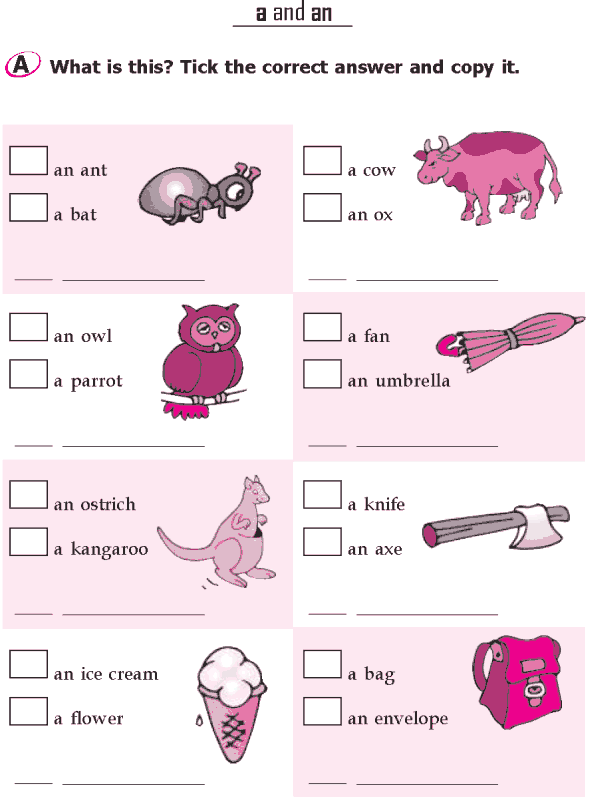 Grade 1 Grammar Lesson 6 Articles â A And An